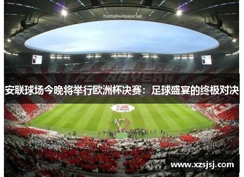 安联球场今晚将举行欧洲杯决赛：足球盛宴的终极对决