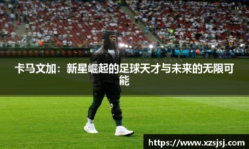 球速体育平台登录入口